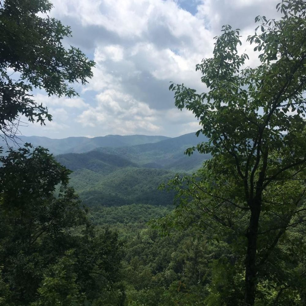 Meet your Posher, Carol